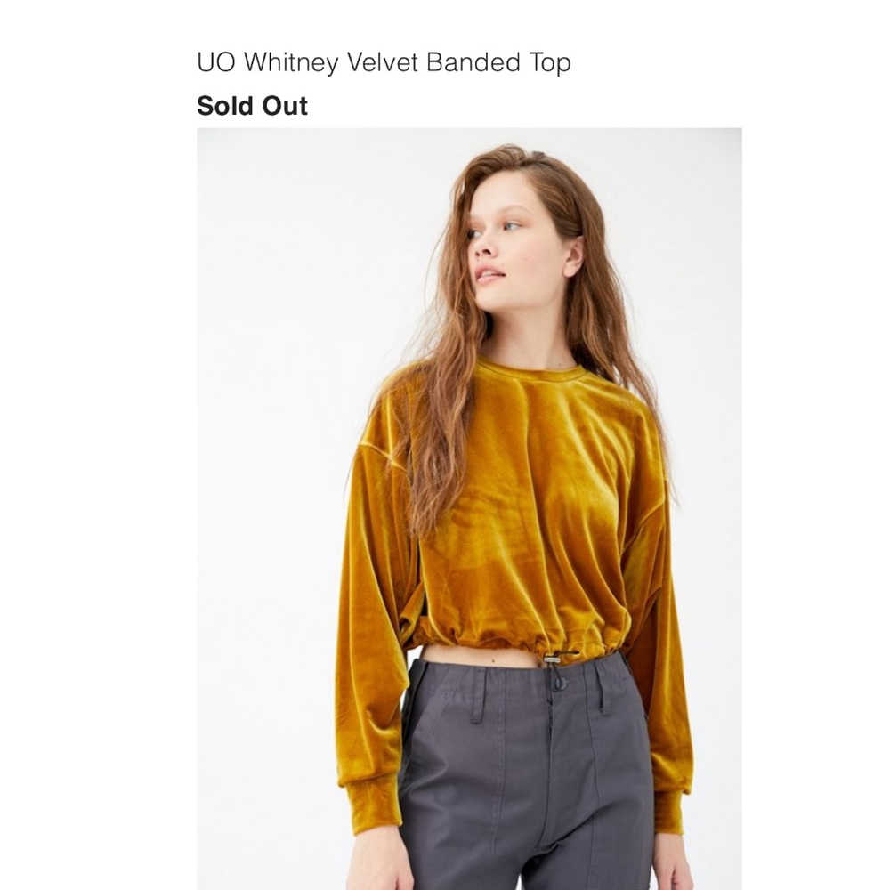 NWT Urban Outfitters Velvet Top